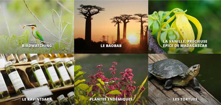 Madagascar Joyau Océan Indien