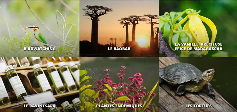 Madagascar Joyau Océan Indien